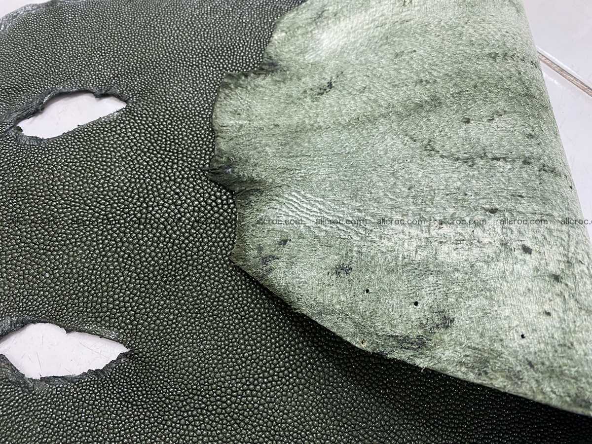 Stingray skin 10 inches round shape 2318 Foto 2