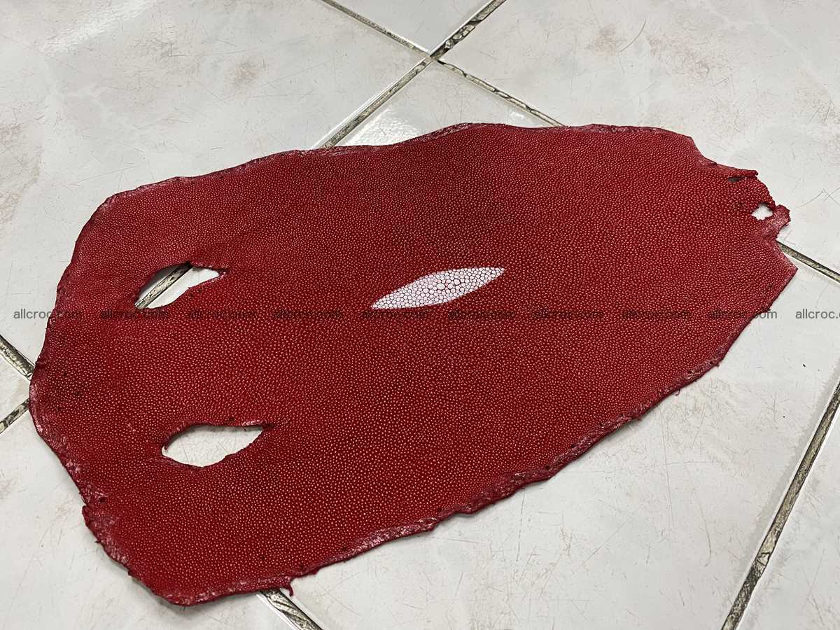 Stingray skin 9 inches round shape 2320 Foto 0