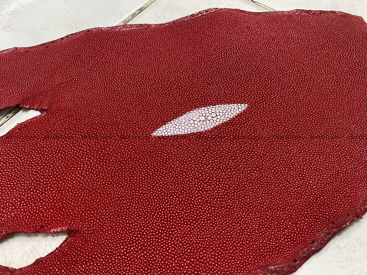 Stingray skin 9 inches round shape 2320 Foto 1