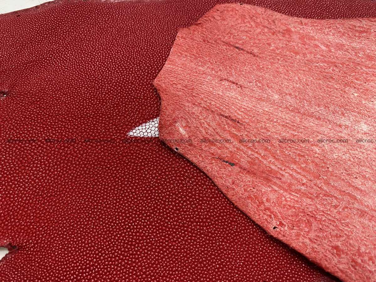 Stingray skin 9 inches round shape 2320 Foto 2