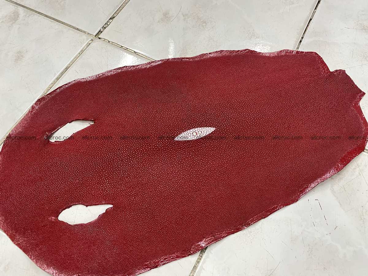 Stingray skin 11 inches round shape 2321 Foto 0