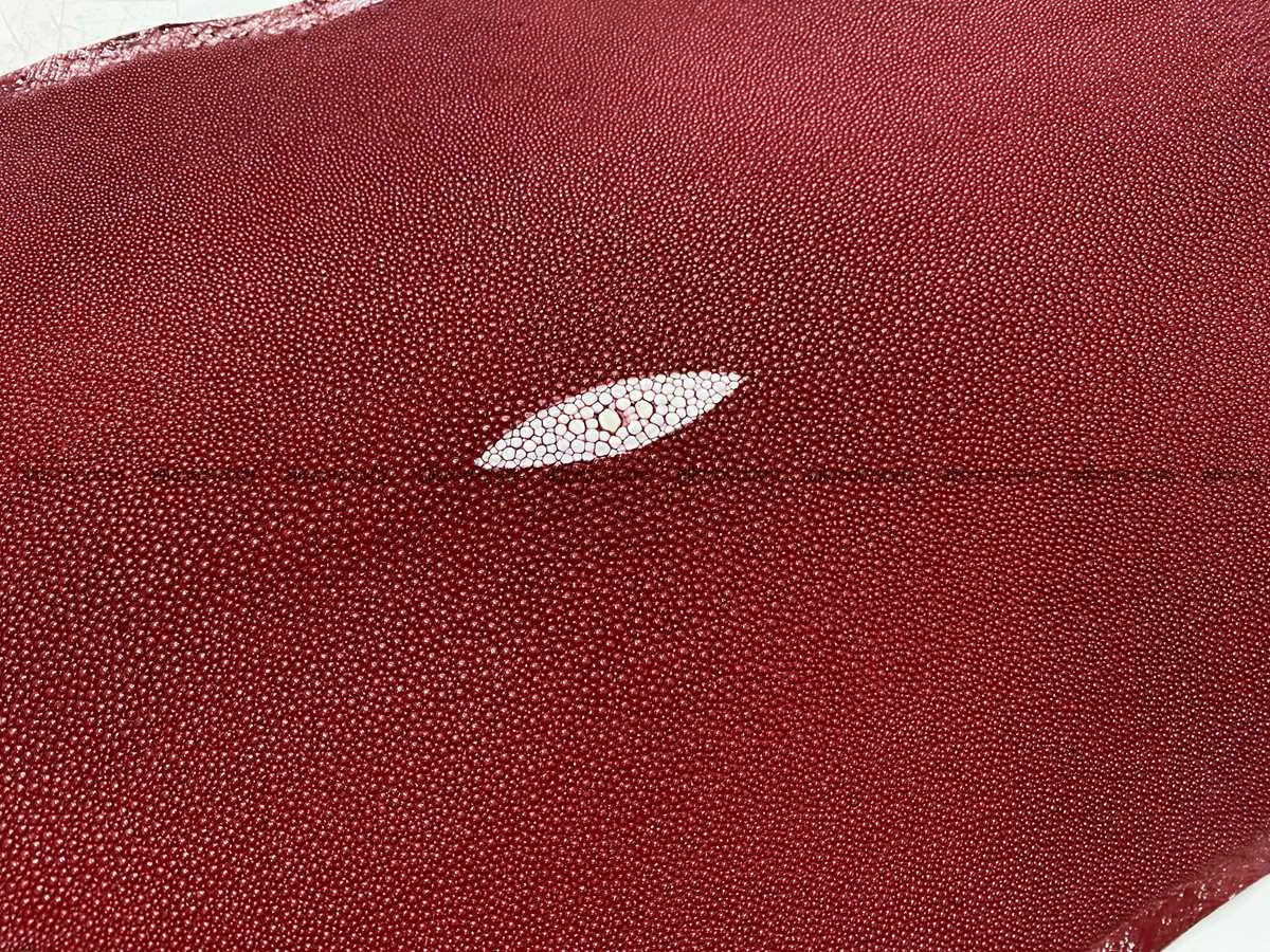Stingray skin 11 inches round shape 2321 Foto 1