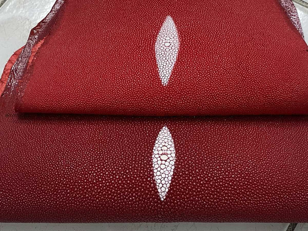 Stingray skin 9 inches round shape 2320 Foto 3