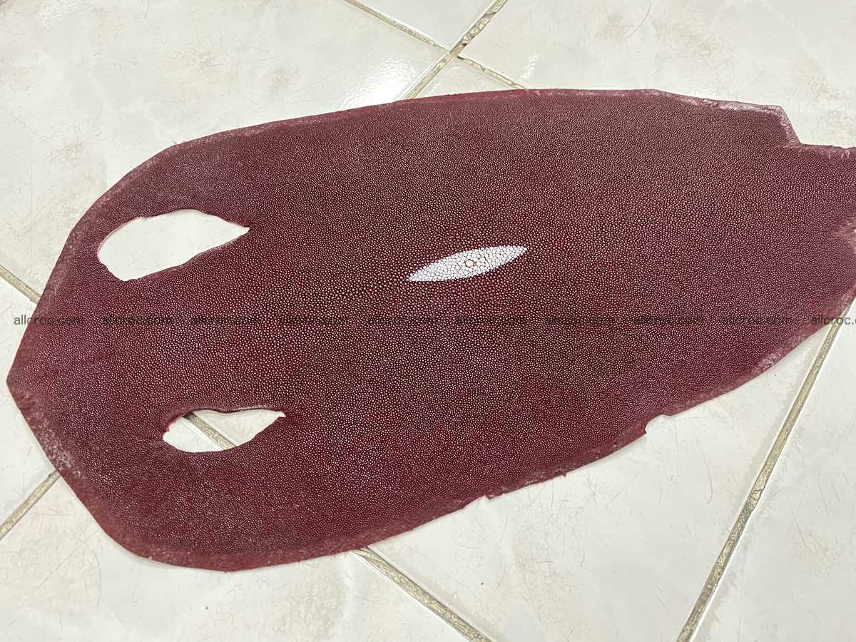 Stingray skin 8 inches round shape 2323 Foto 0