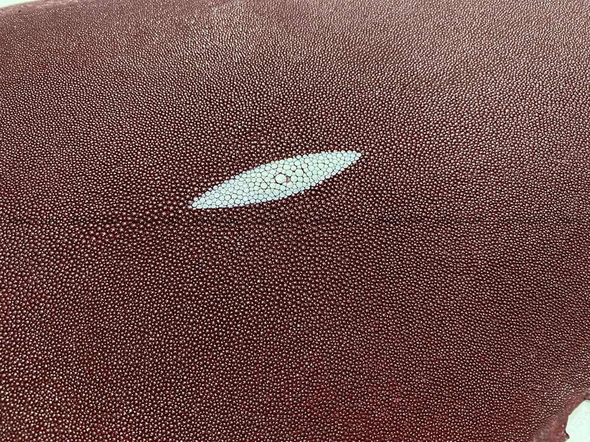 Stingray skin 8 inches round shape 2323 Foto 1