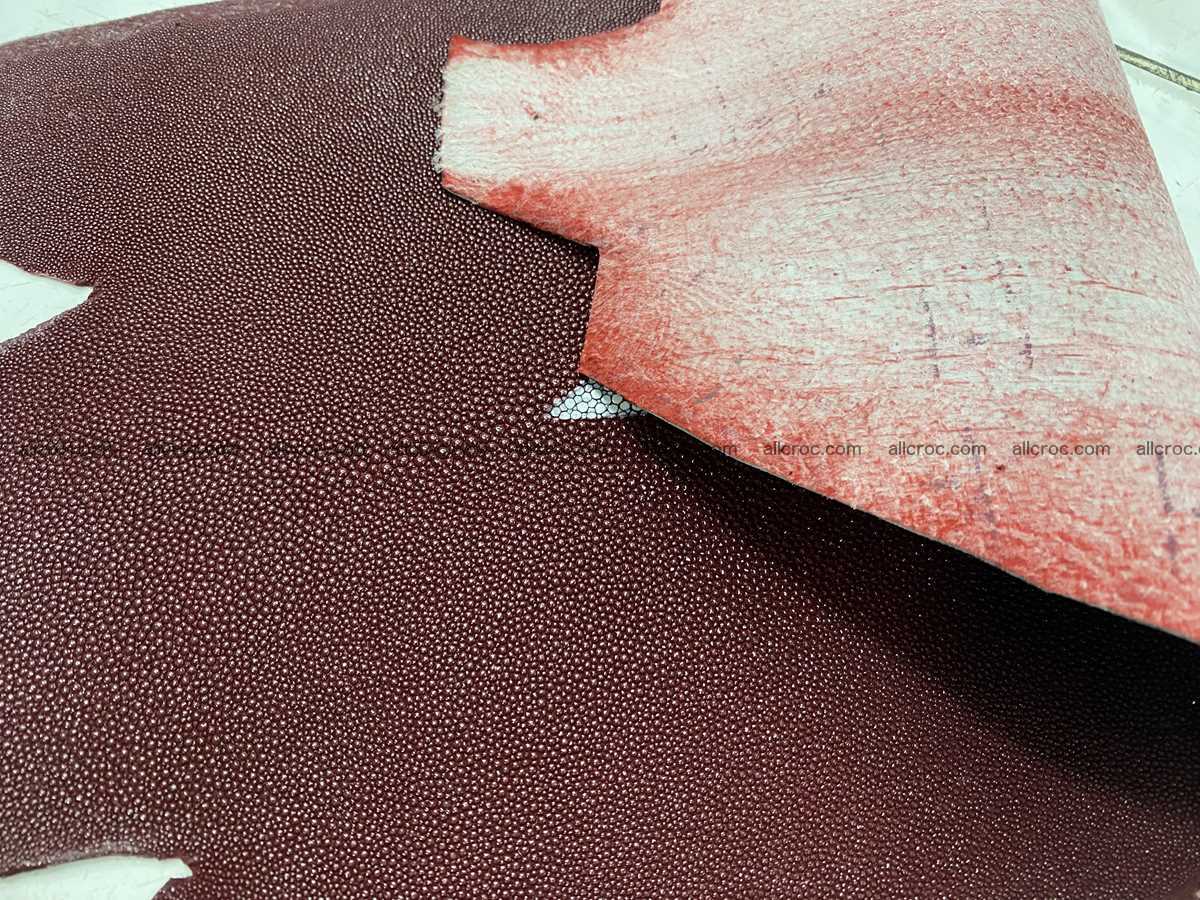 Stingray skin 8 inches round shape 2323 Foto 2