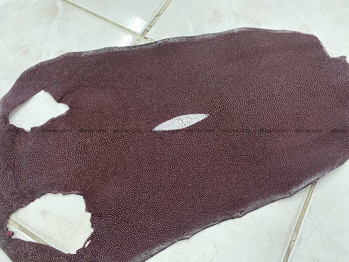 Stingray skin 9 inches round shape 2322 Foto 0