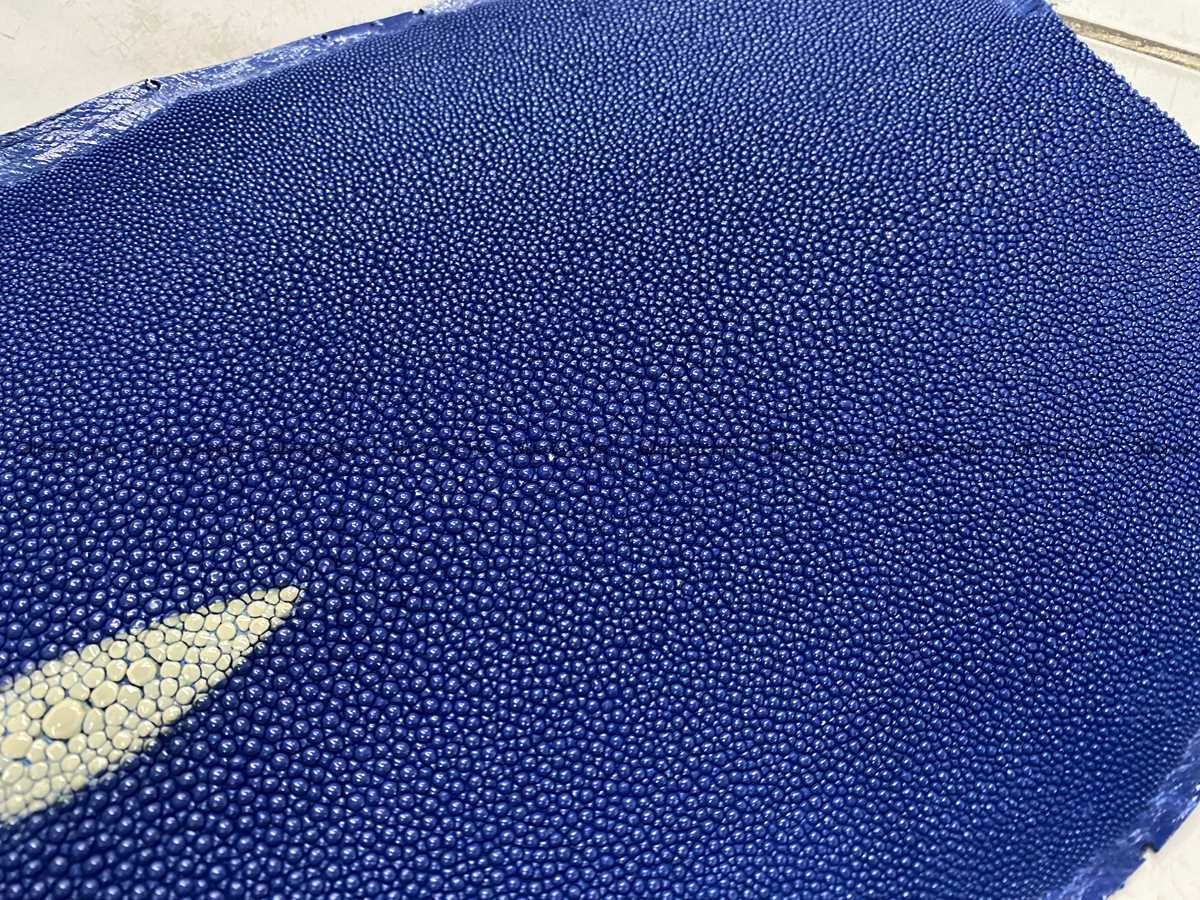 Stingray skin long shape 10 inches 2334 Foto 3