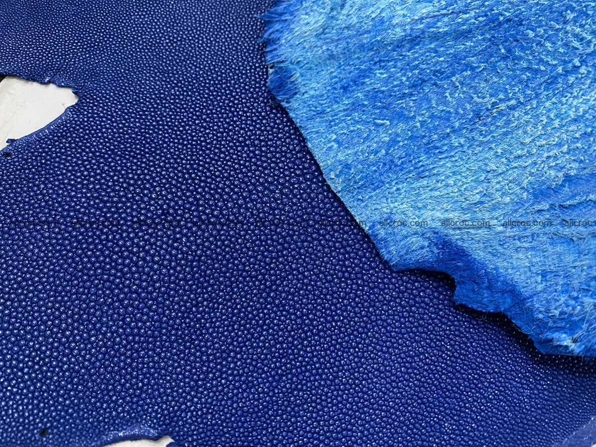 Stingray skin long shape 10 inches 2334 Foto 4