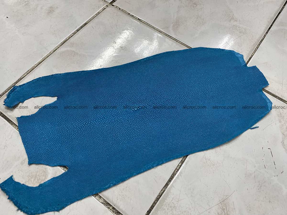 Stingray skin long shape 7 inches 2340 Foto 0