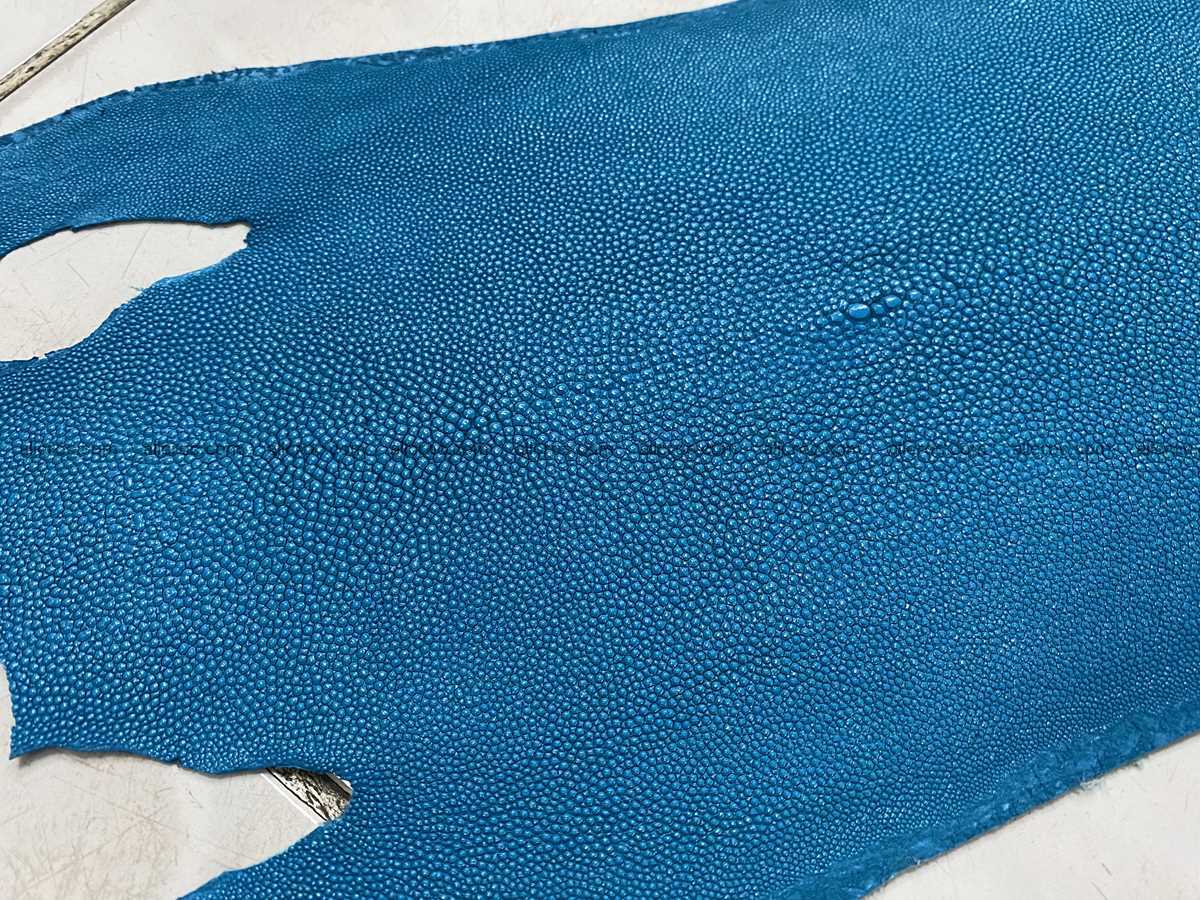 Stingray skin long shape 7 inches 2340 Foto 1