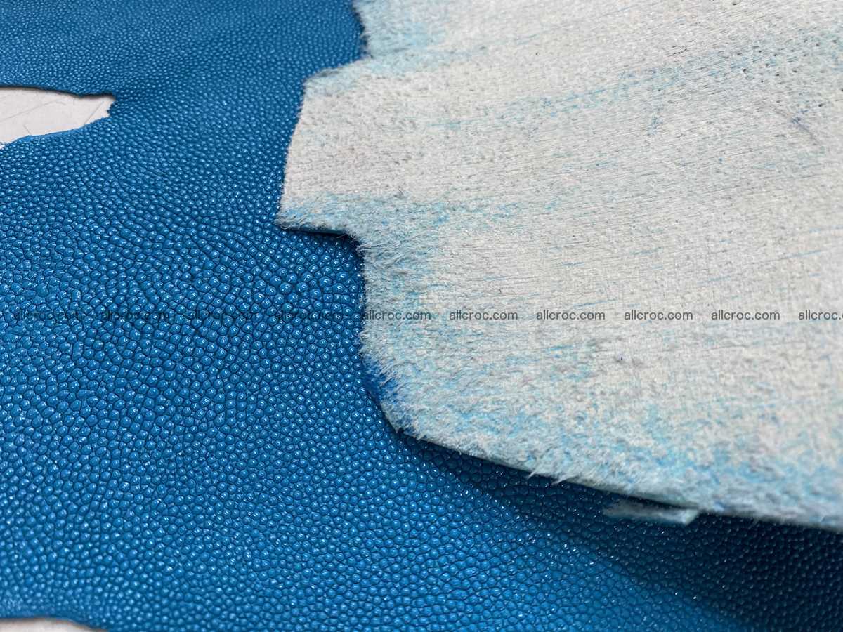 Stingray skin long shape 7 inches 2340 Foto 4