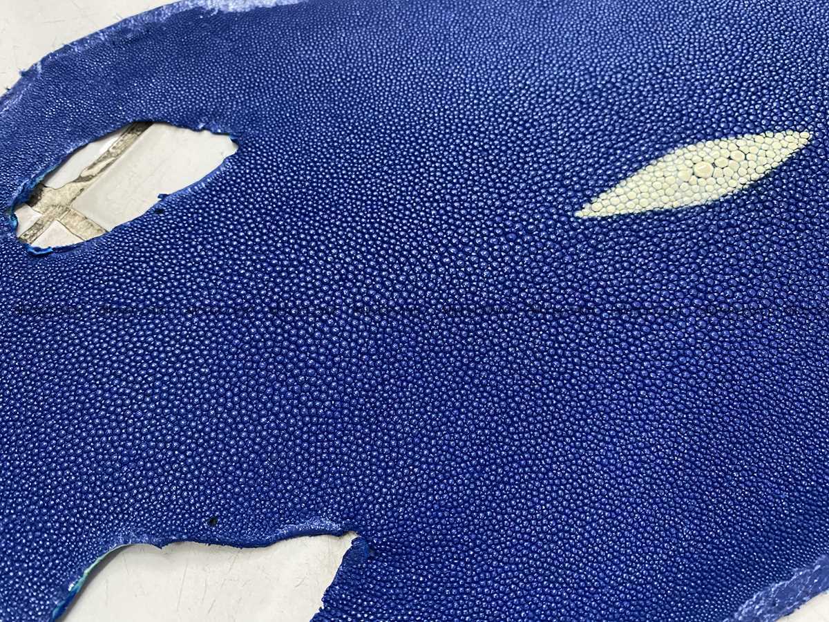 Stingray skin long shape 10 inches 2334 Foto 1