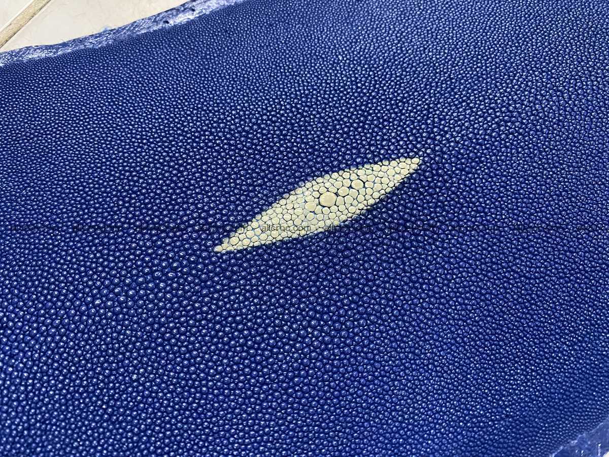 Stingray skin long shape 10 inches 2334 Foto 2