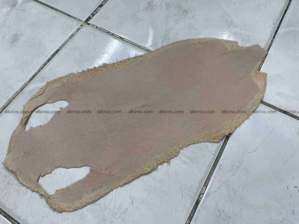 Stingray skin long shape 8 inches 2339 Foto 0