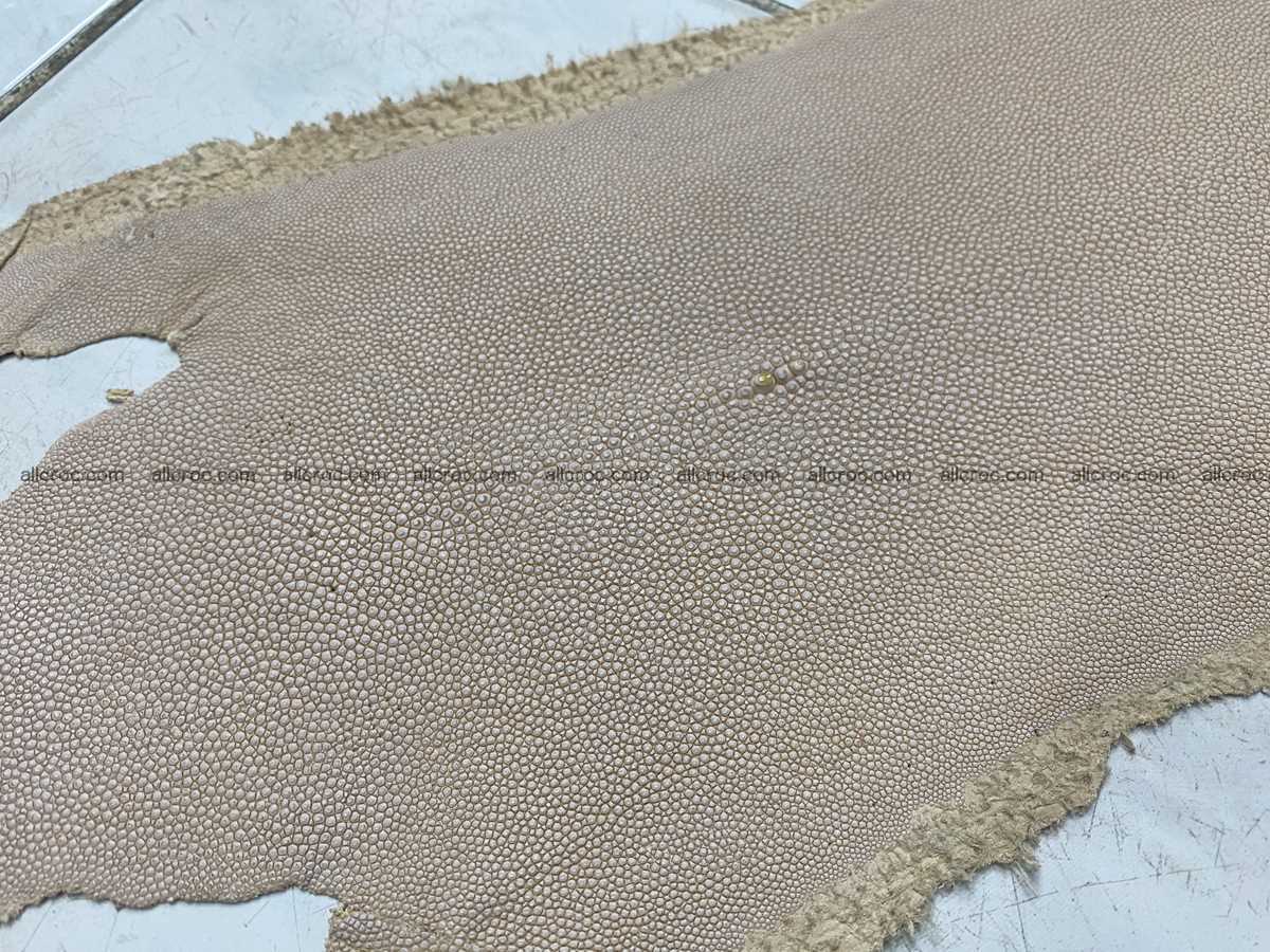 Stingray skin long shape 8 inches 2339 Foto 1