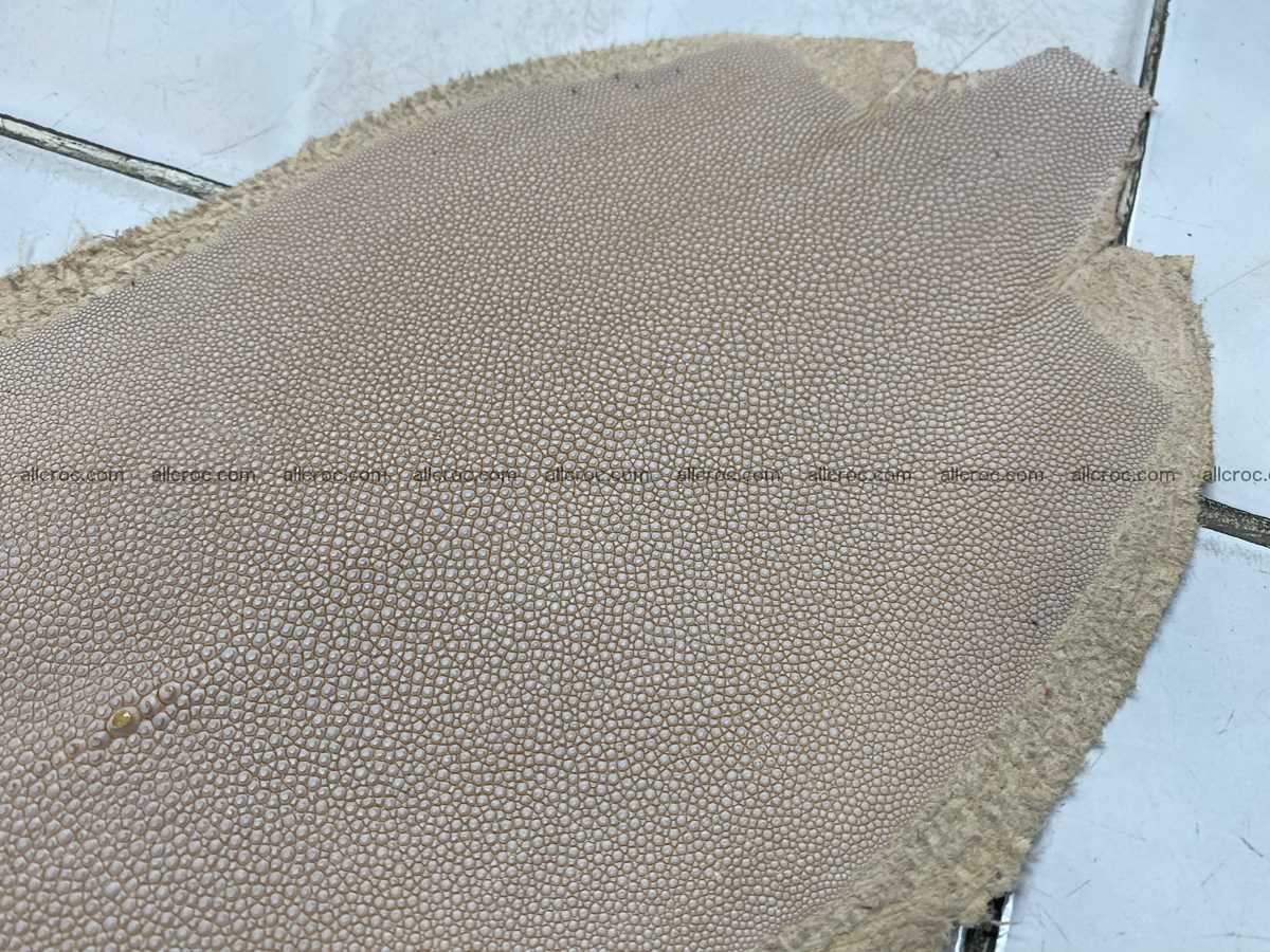 Stingray skin long shape 8 inches 2339 Foto 2