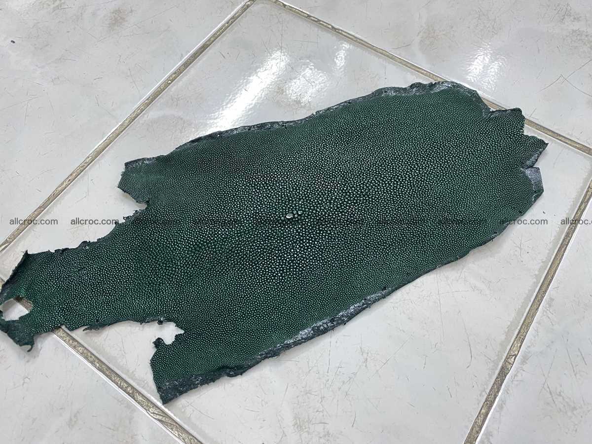 Stingray skin long shape 9 inches 2338 Foto 2