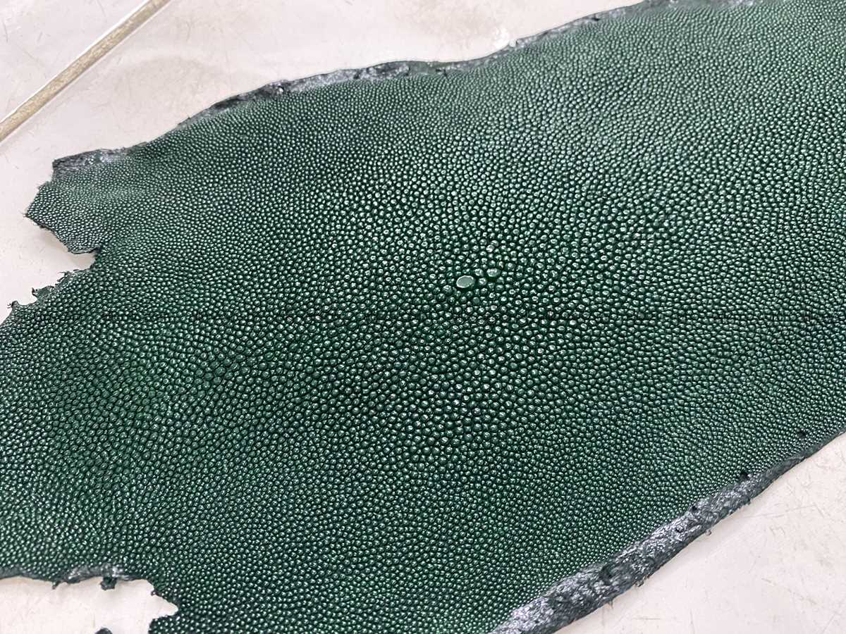 Stingray skin long shape 9 inches 2338 Foto 1