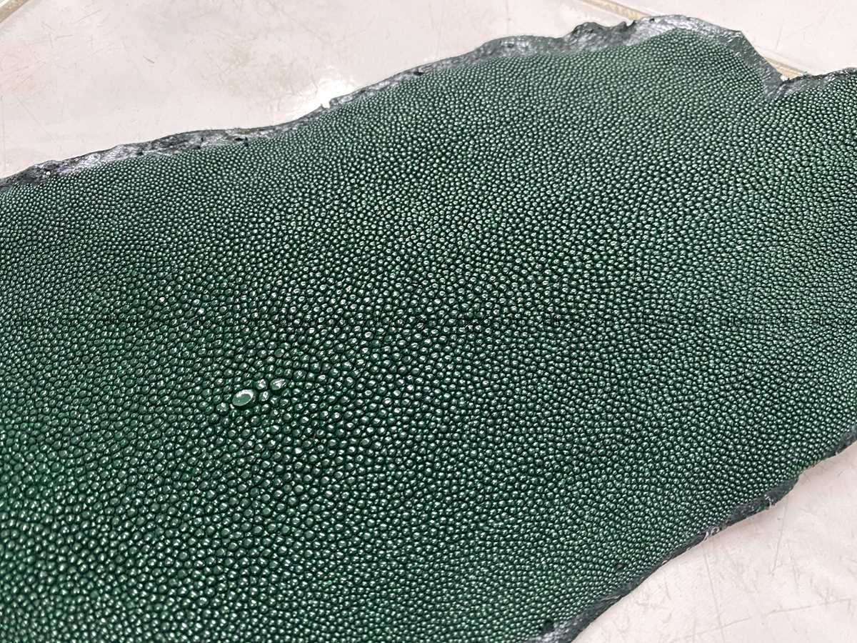 Stingray skin long shape 9 inches 2338 Foto 0