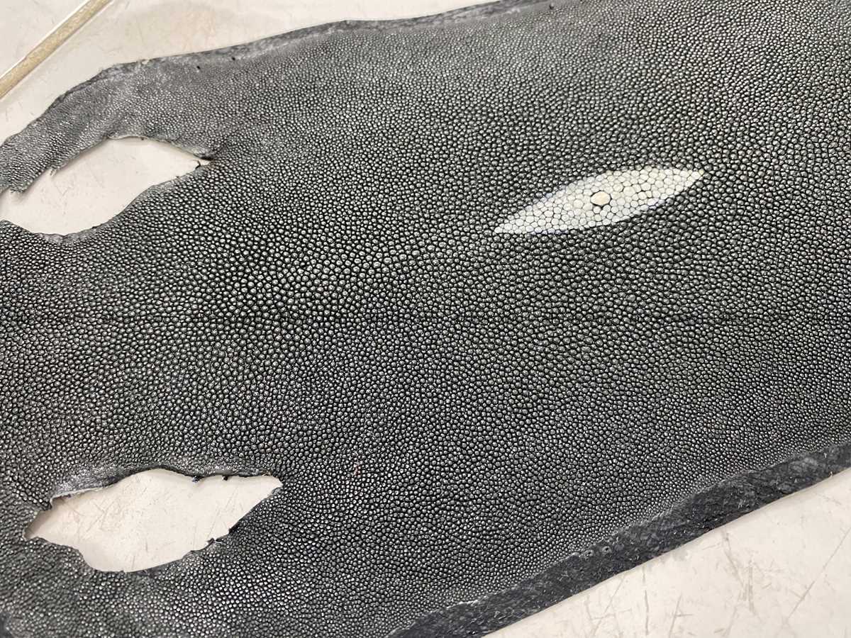 Stingray skin long shape 11 inches 2337 Foto 1