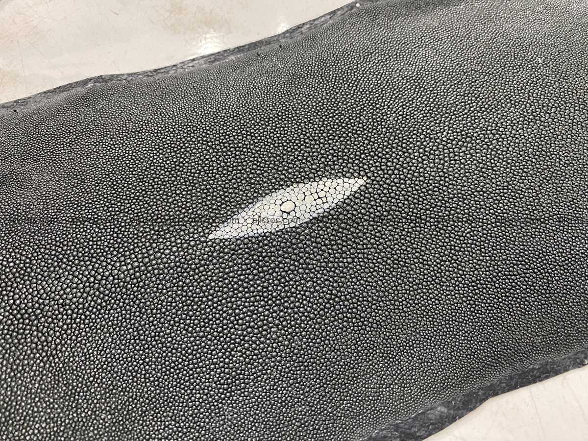 Stingray skin long shape 11 inches 2337 Foto 2
