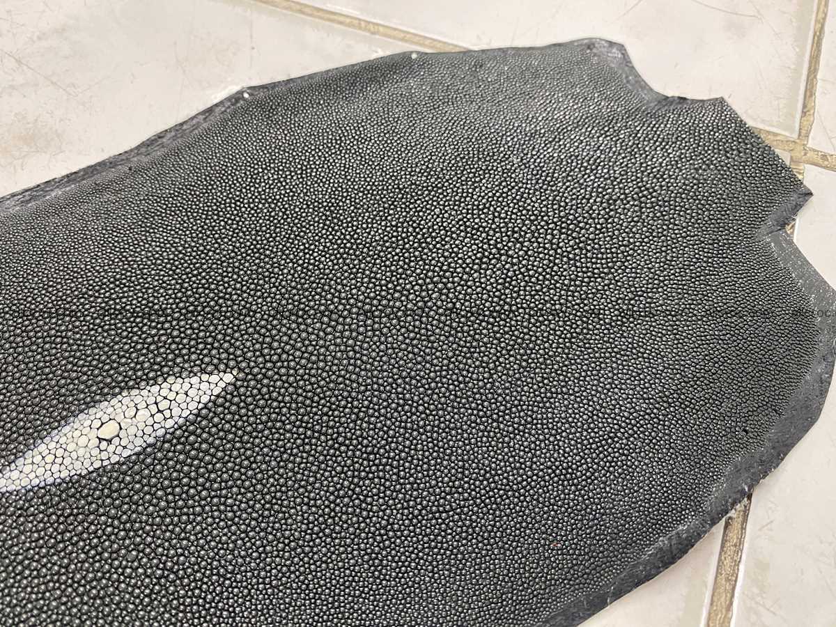 Stingray skin long shape 11 inches 2337 Foto 3