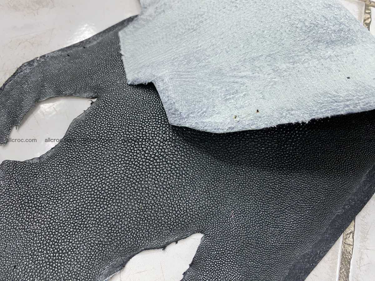 Stingray skin long shape 11 inches 2337 Foto 4