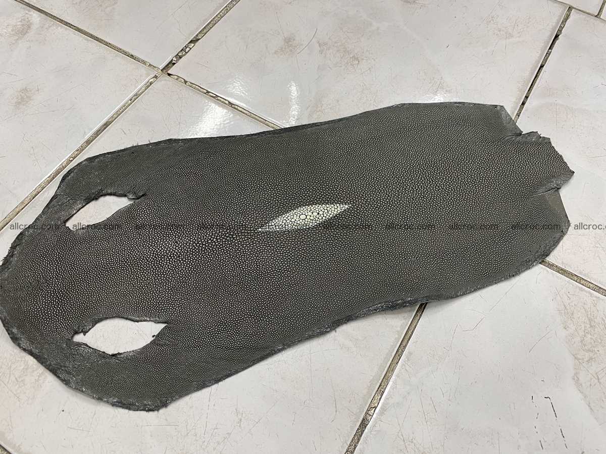 Stingray skin long shape 8 inches 2341 Foto 0