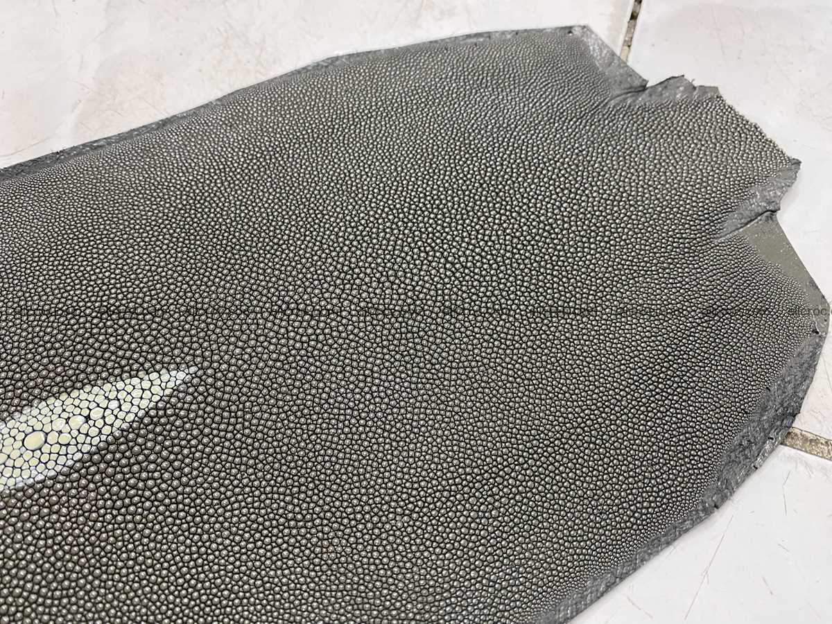 Stingray skin long shape 8 inches 2341 Foto 3