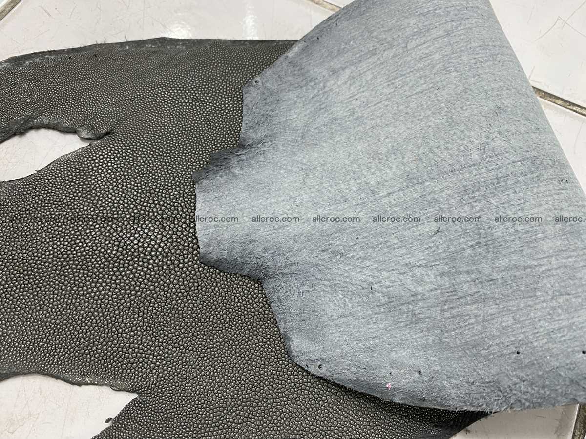Stingray skin long shape 8 inches 2341 Foto 4