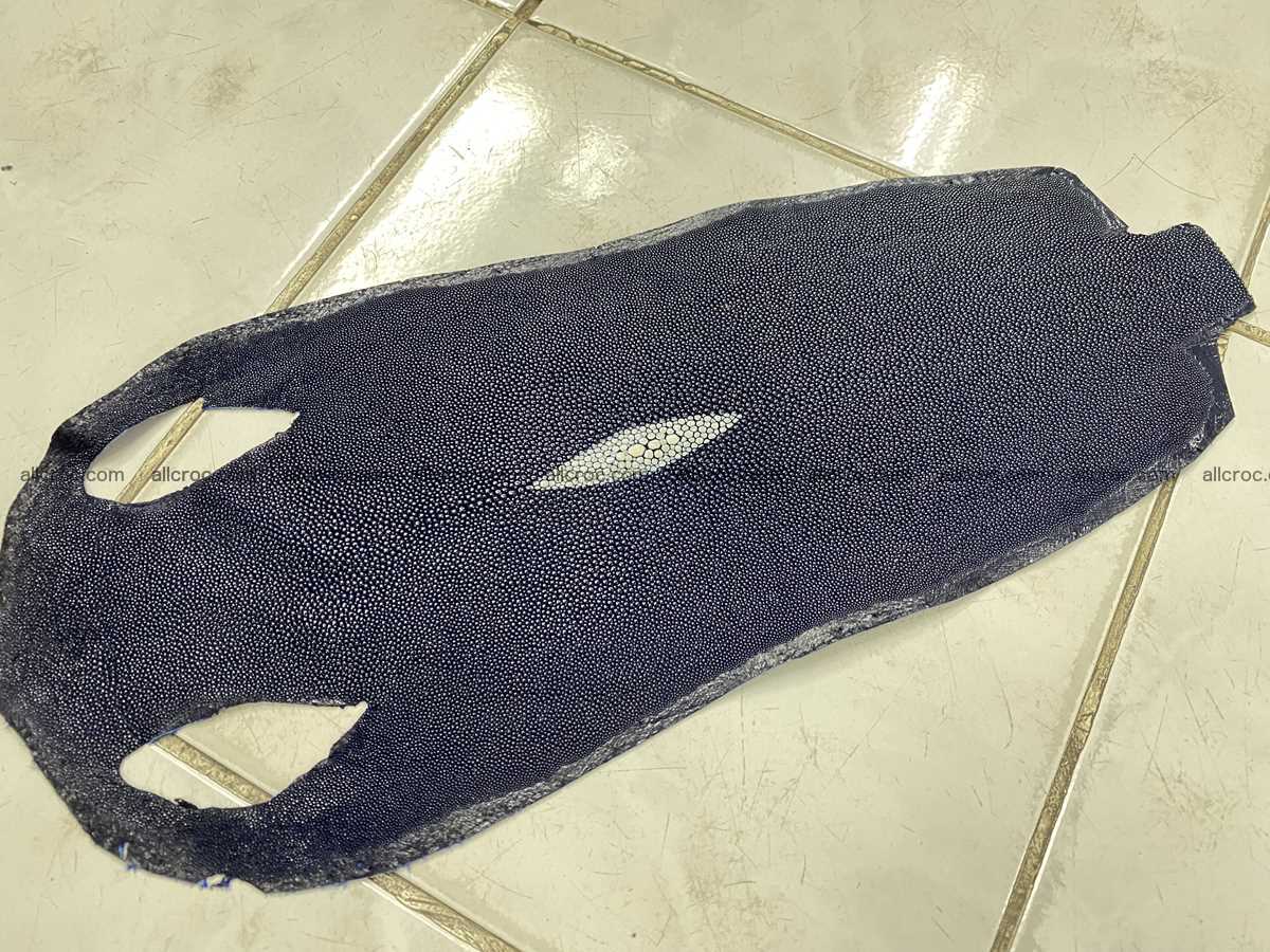Stingray skin long shape 9 inches 2335 Foto 0
