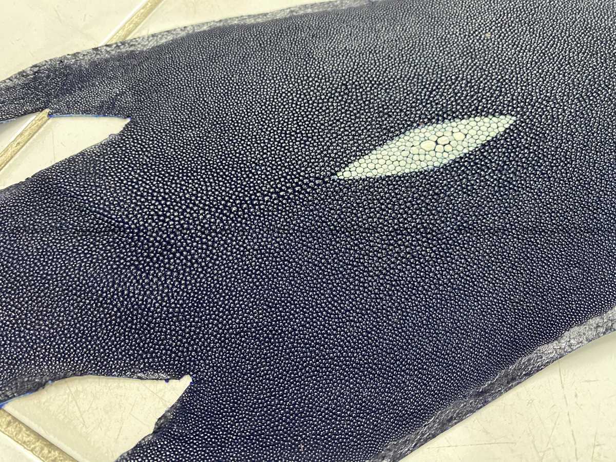 Stingray skin long shape 9 inches 2335 Foto 1