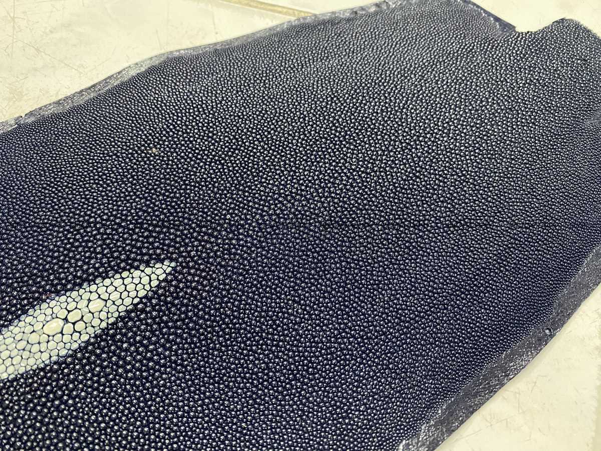 Stingray skin long shape 9 inches 2335 Foto 3