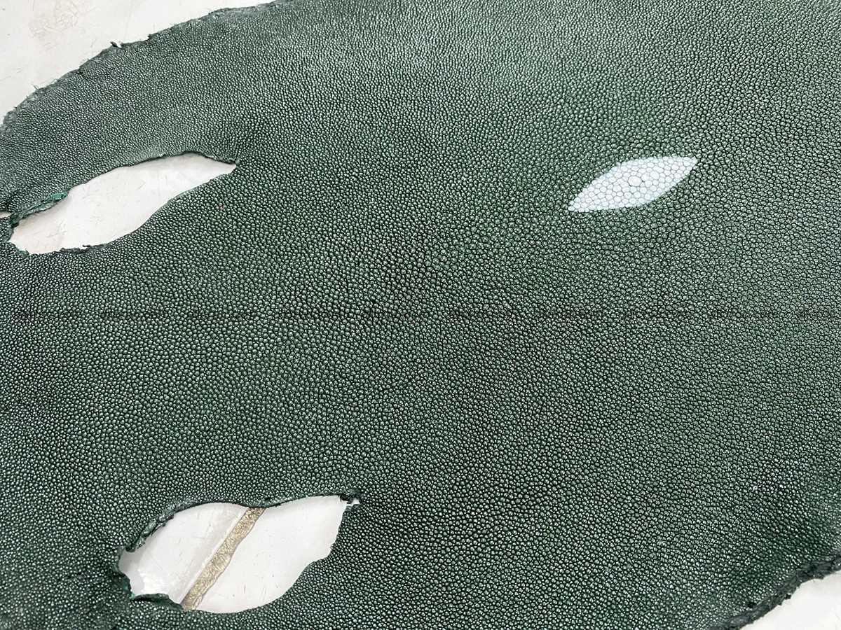 Stingray skin 10 inches round shape 2309 Foto 1