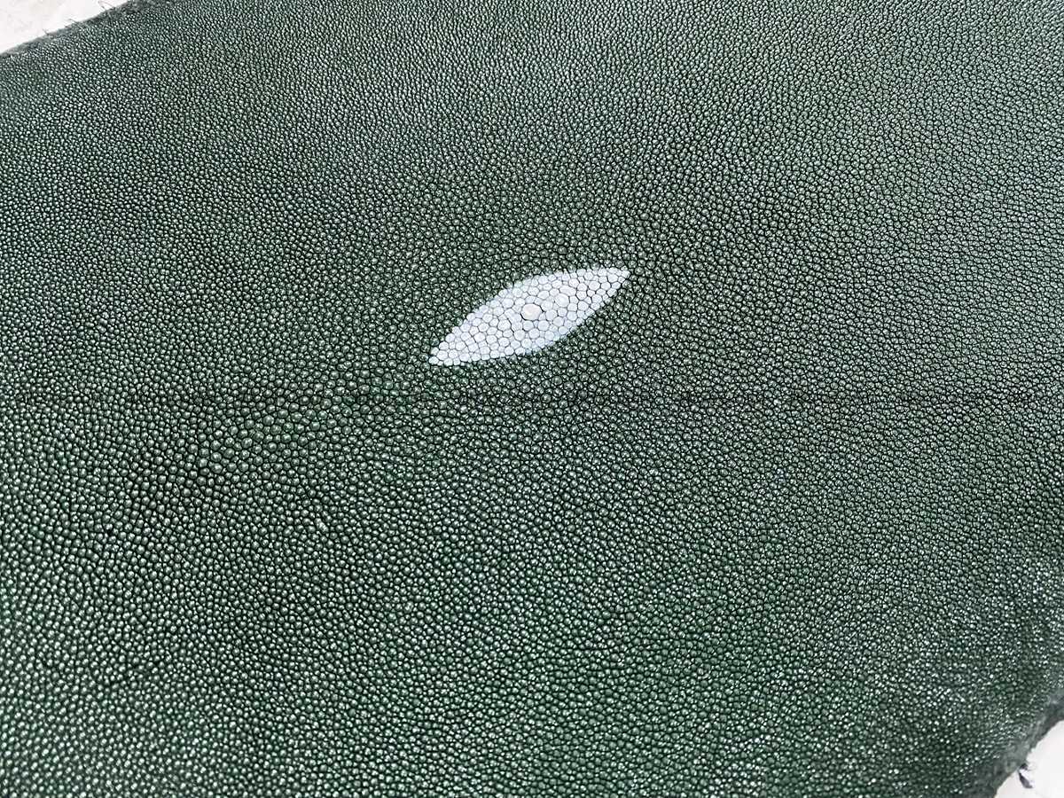 Stingray skin 10 inches round shape 2309 Foto 2