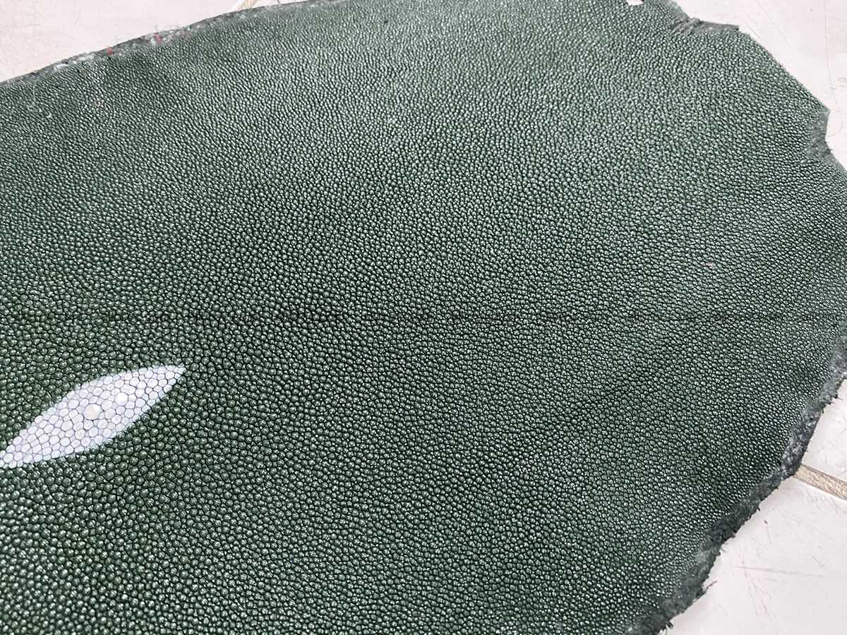 Stingray skin 10 inches round shape 2309 Foto 3