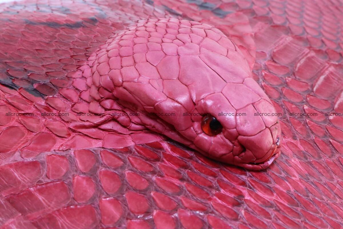 Cobra skin backpack with head of cobra 418 Foto 7