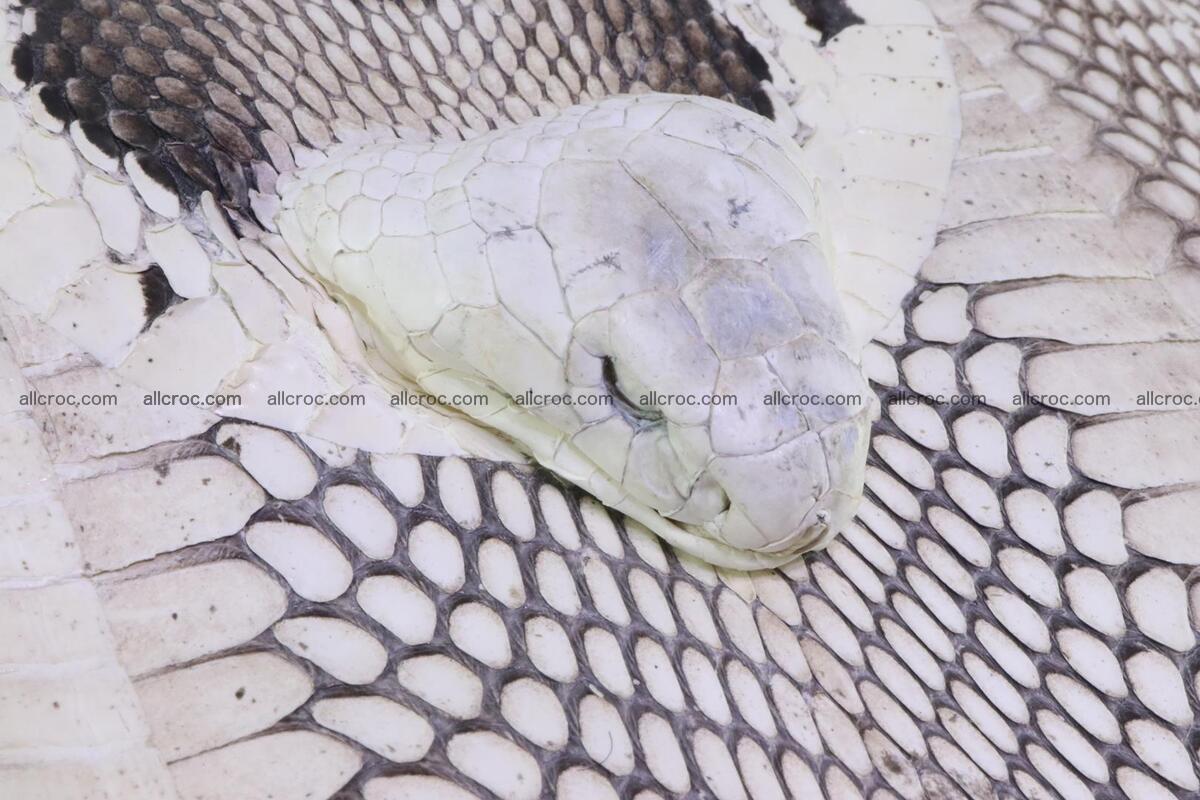 Cobra skin backpack with head of cobra 187 Foto 4