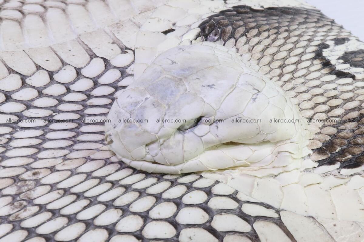 Cobra skin backpack with head of cobra 187 Foto 5