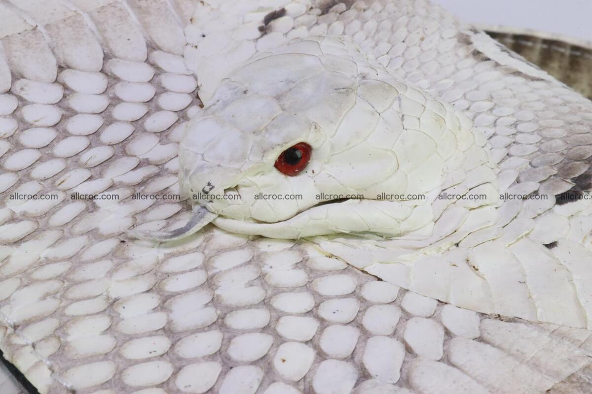 Cobra skin ladies handbag with head of cobra 195 Foto 7