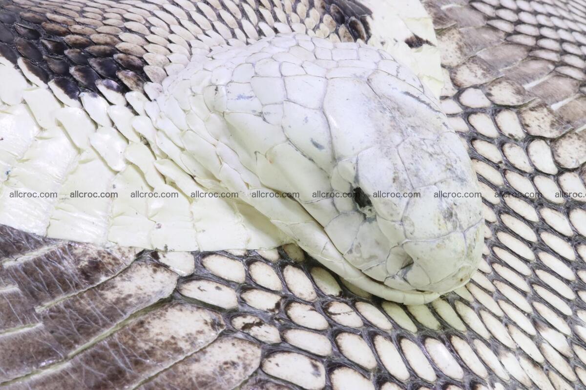 Cobra skin ladies handbag with head of cobra 194 Foto 9