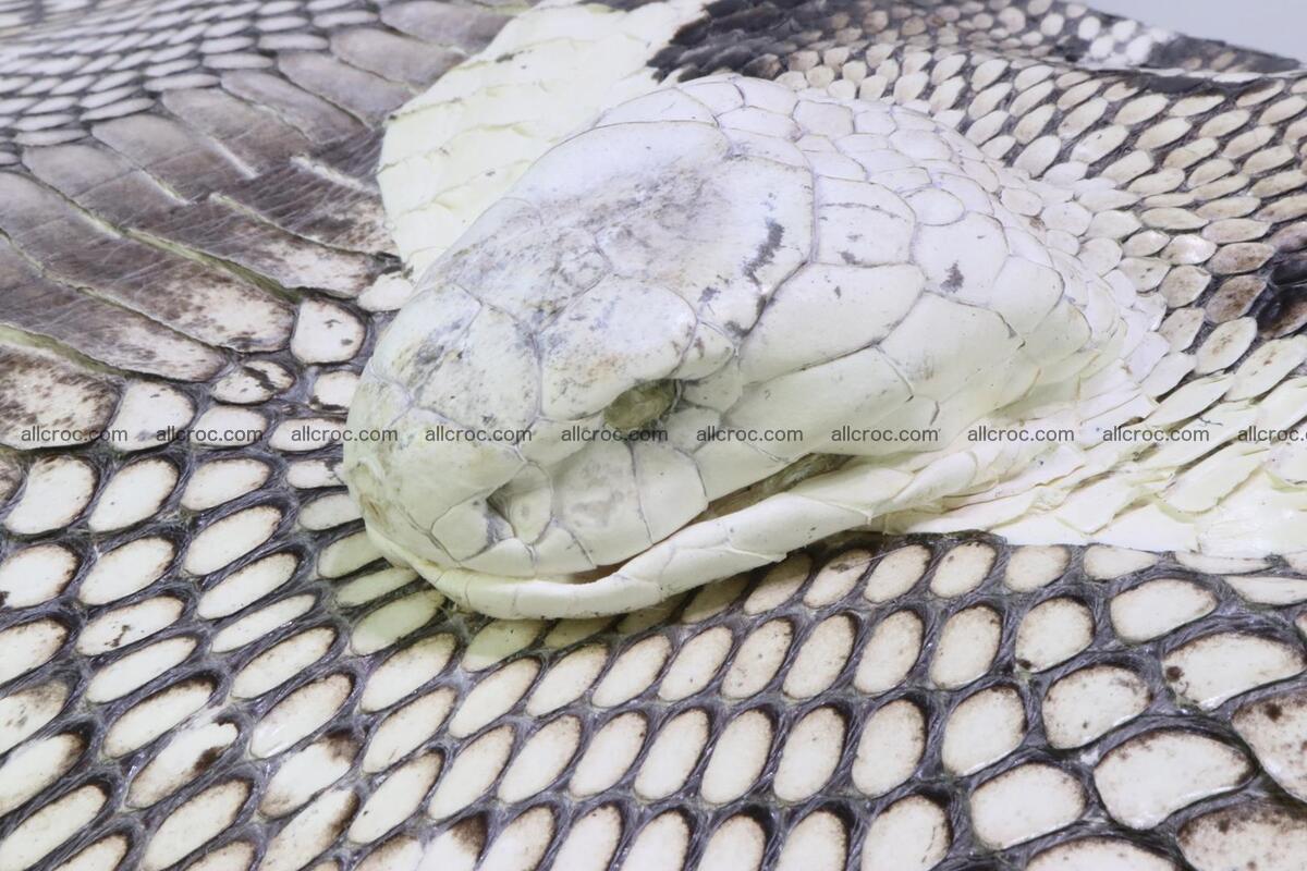 Cobra skin ladies handbag with head of cobra 194 Foto 10