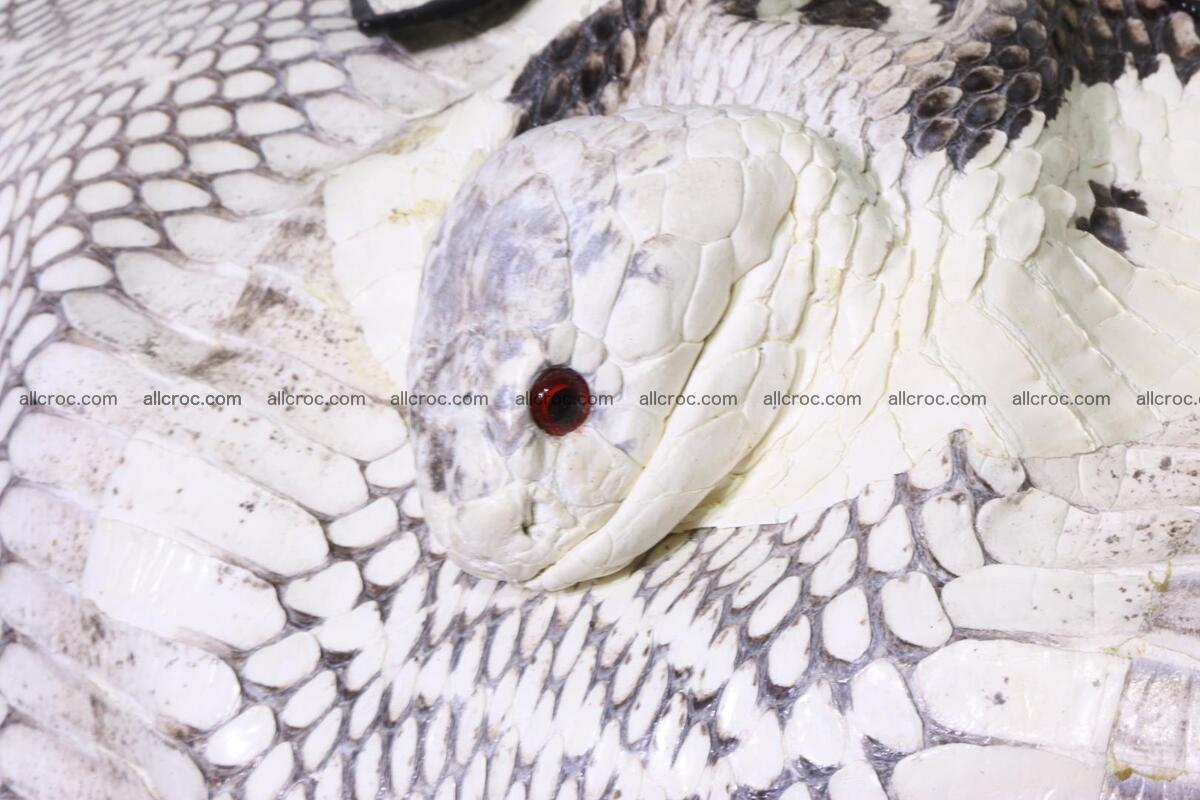 Cobra skin ladies handbag with head of cobra 192 Foto 9