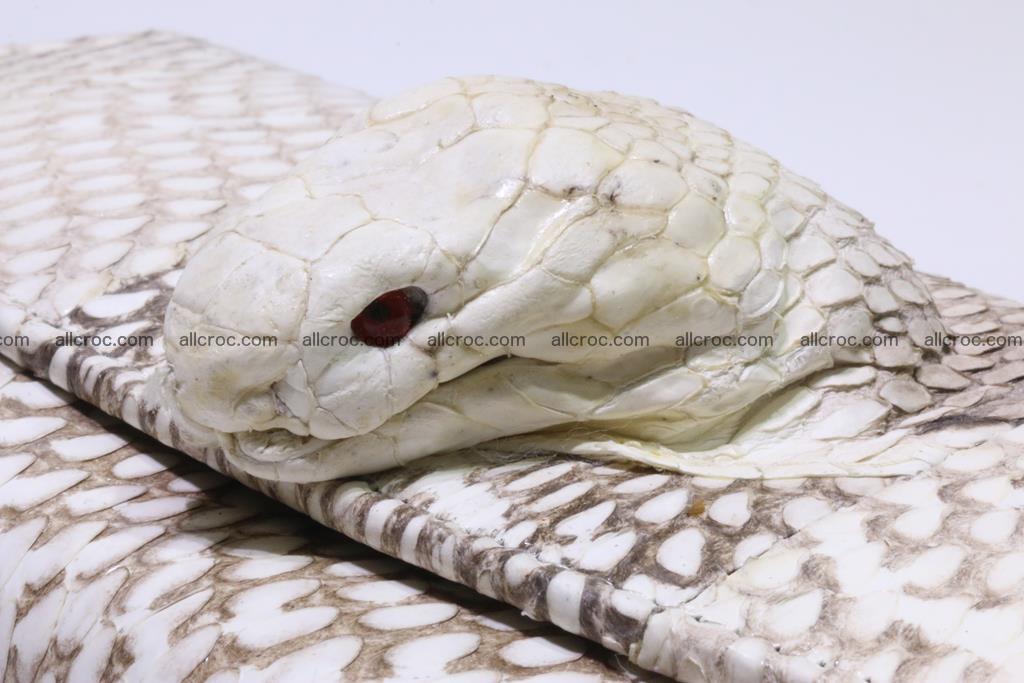 Cobra skin wallet for lady 359 Foto 6