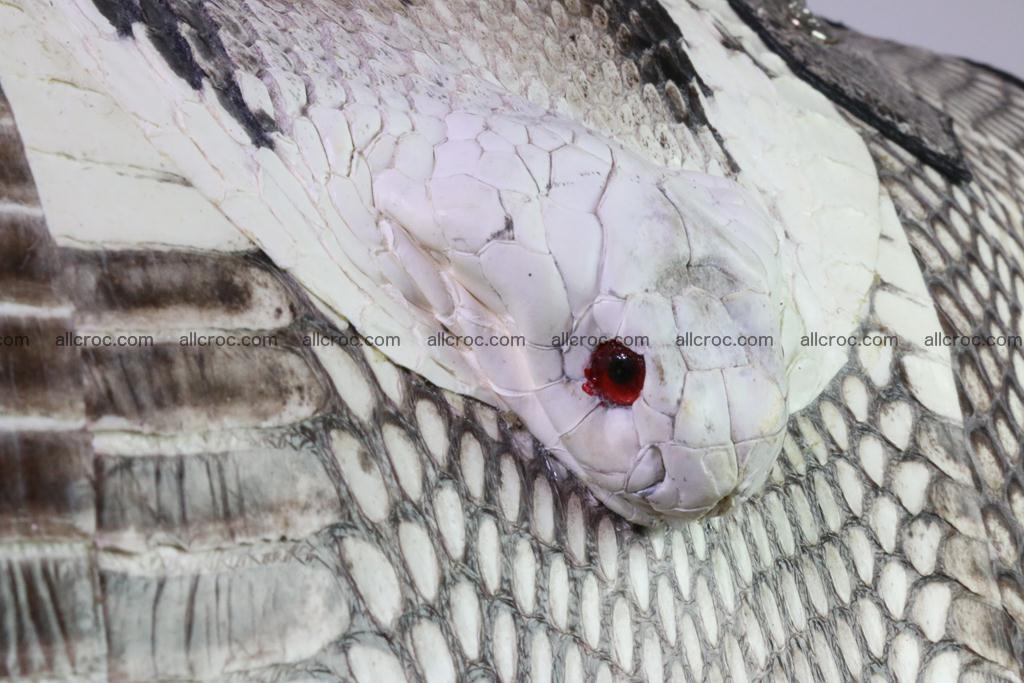 Cobra women's handbag 400 Foto 12