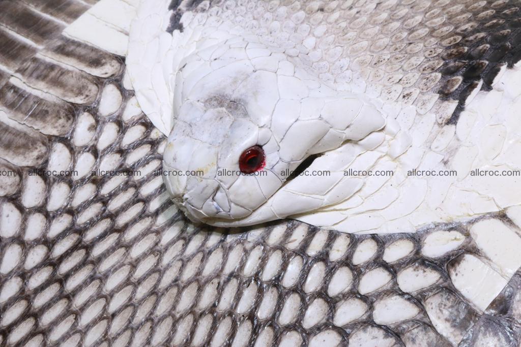 Cobra women's handbag 400 Foto 14