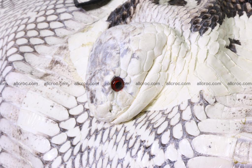 Cobra women's handbag 401 Foto 10