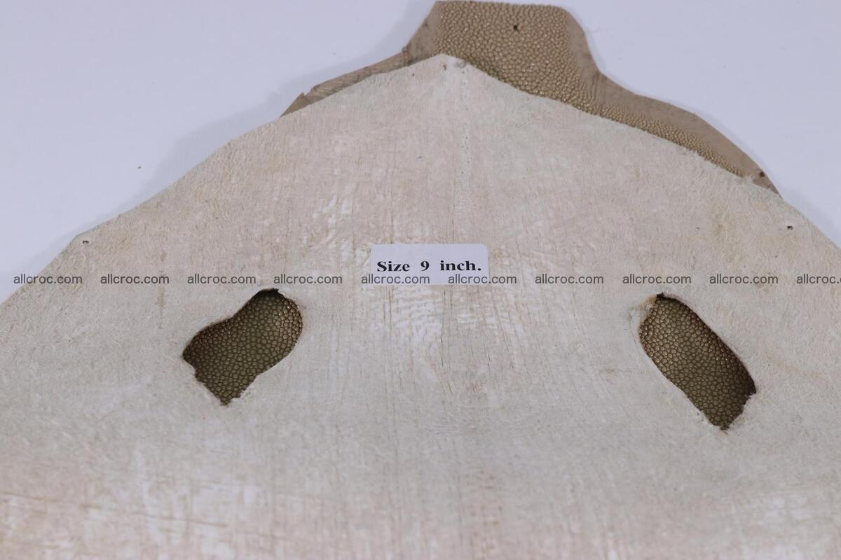 Stingray skin round shape 9 inches 1270 Foto 3