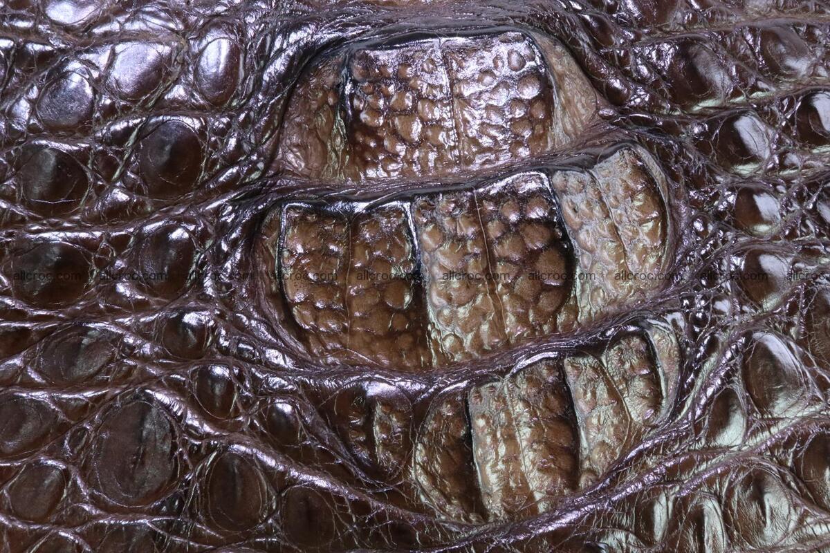Crocodile skin briefcase 287 Foto 4